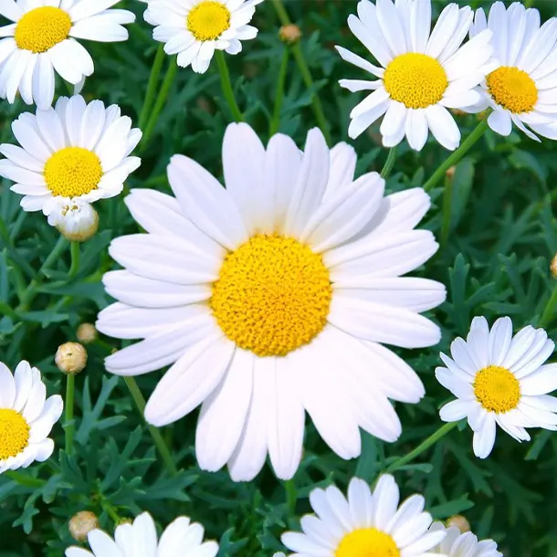 Generic placeholder image